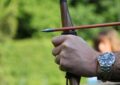 archery, sports, bow, hits, objectives, purposefully, shooting sports, leisure time, archery, archery, archery, archery, archery