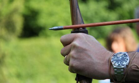 archery, sports, bow, hits, objectives, purposefully, shooting sports, leisure time, archery, archery, archery, archery, archery